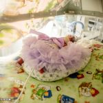 rs55566_ka-20161117-ka__7247-scr
