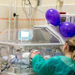 rs55658_ka-20161117-ka__7642-scr