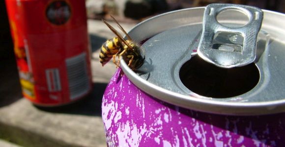 diabetes halott méhek kezelése