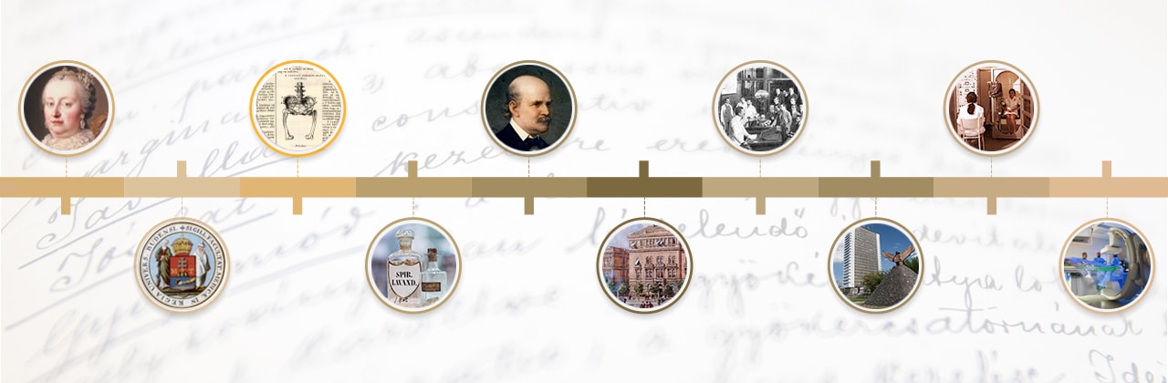 History of the University