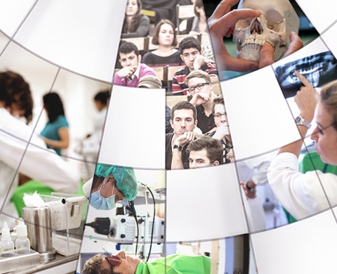 Folytatódnak a Semmelweis Egészség Napok