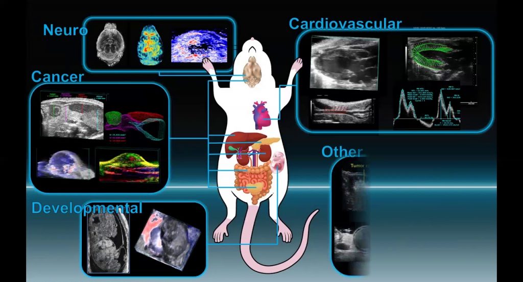 Small Animal Ultrasound – Core Facility