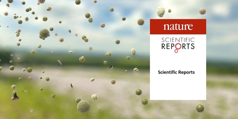 Efficient and scalable training set generation for automated pollen monitoring with Hirst-type samplers