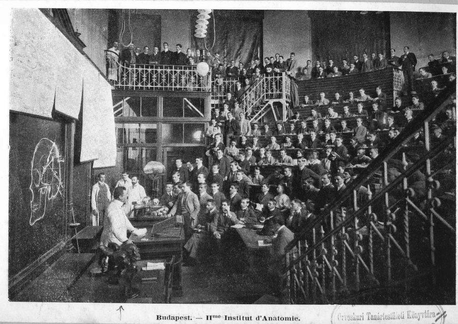 The history of changes in forms of training and the language of