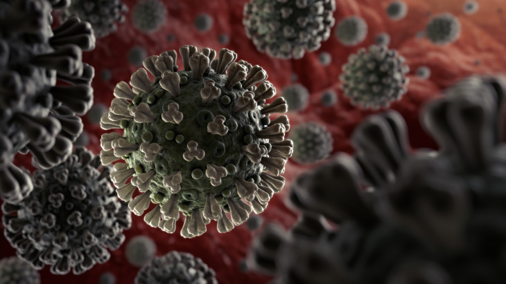 Up-to-date information on the coronavirus