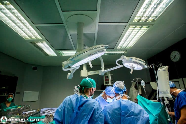 Pig heart implant as xenograft transplantation Semmelweis University