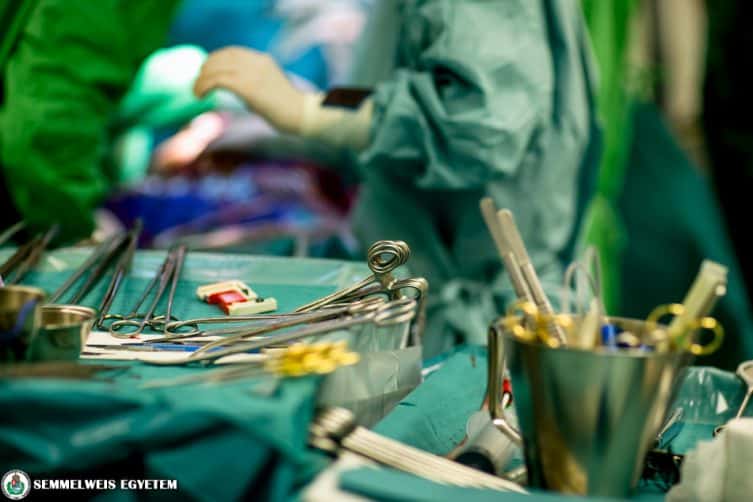 Pig heart implant as xenograft transplantation Semmelweis University