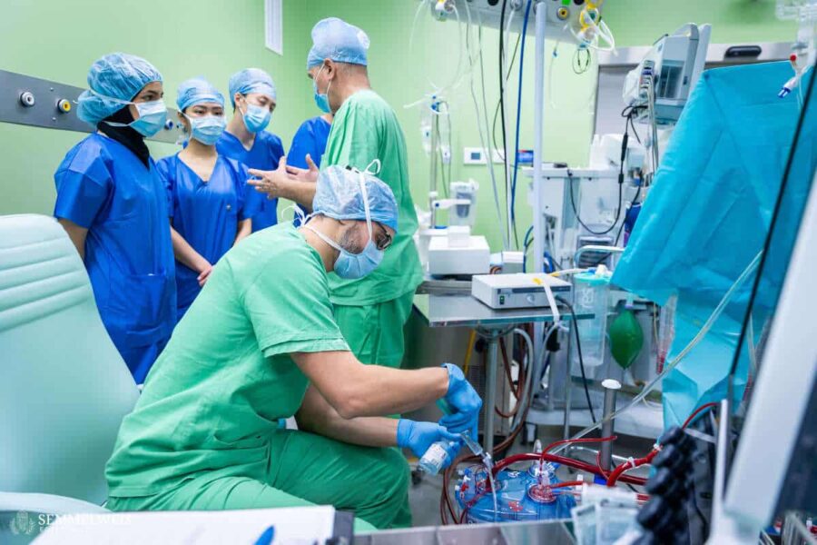 A day in the life of a perfusionist – a glimpse into the work of ...
