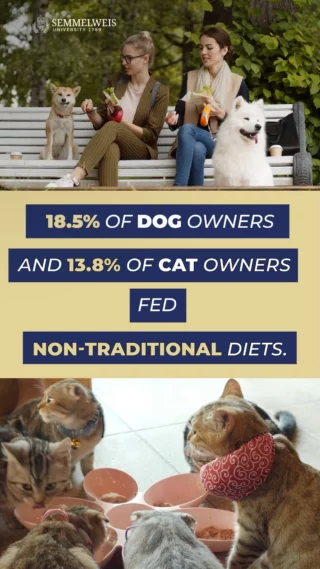 More Pets Going Gourmet? New Study Reveals Feeding Trends

A new study from Semmelweis University surveyed 1,007 Hungarian pet owners (789 dog and 218 cat) and found nearly 1 in 5 dogs and 1 in 7 cats are on alternative diets - raw being the top pick.

Second favourites? 'Free from' foods for dogs, and 'weight control' for cats. No cats were on plant-based diets, but 5% of dog owners gave it a go. Some even tried keto, paleo or their own homemade mixes.

Dog owners who follow alternative diets themselves were 2.78 times more likely to feed their dogs similarly. This connection was not observed in cat owners.

And location matters: city dogs were more likely to eat fancy, while rural cats got the alternative menu more often.

“Lifestyle and location clearly shape how we feed our pets,” says Dr Blanka Vékony, assistant lecturer at the Department of Dietetics and Nutritional Sciences. “We still need to understand how emotional bonds influence these choices. But owners should always check with an expert as dogs and cats don’t have the same needs as us!”

#pets #dogs #cats #diet #feeding #alternativediet #plantbaseddiet #rawdiet #animal #ketogenic #paleo #health #eating #food #dogowners #catowners #rural #urban #research #study #survey #vet #science #semmelweis #semmelweisuniversity #semmelweisegyetem