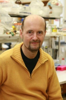 csermely_peter Semmelweis Hírek