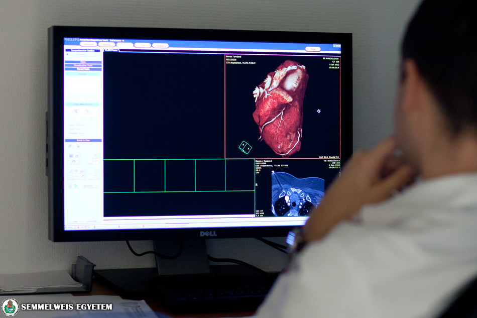 szívbetegség egészségügyi oktatási szoftver