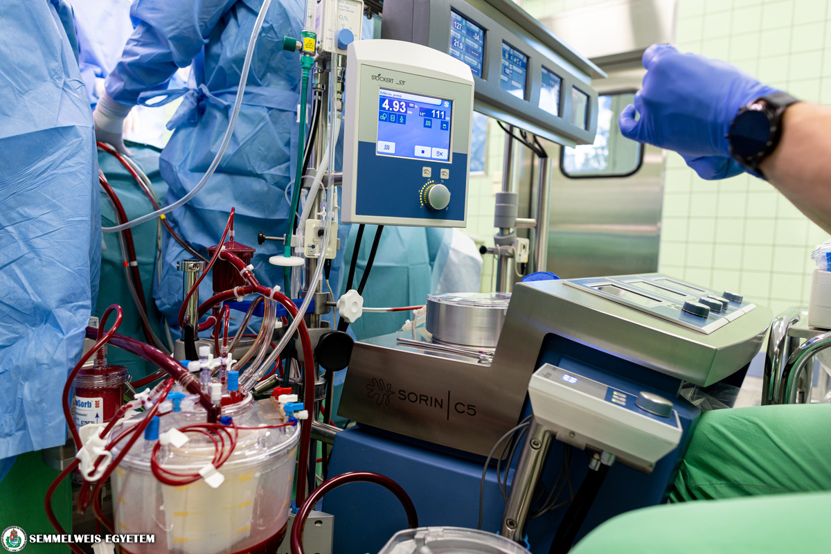 ellátás egészségügyi szív személyre szabott terv transzplantáció)