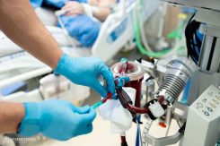 A mechanikus keringéstámogató eszközöket rendszerint a szívműtőben, a haemodinamikai laborban vagy az intenzív osztályon használják, ahol a kardiotechnikus aktív résztvevője a munkafolyamatnak. Feladata a kanülök megválasztása, a készülék előkészítése, elindítása, majd a gép funkcióinak, integritásának felügyelete. Amikor intenzív osztályon dolgozik, a kardiotechnikus a kritikus állapotú betegek keringéstámogató gépeinek működtetésében és felügyeletében vesz részt.