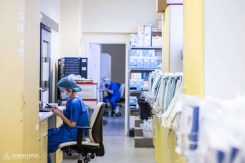 A Semmelweis Egyetemen a harmadéves vagy felsőbb évfolyamos ÁOK-hallgatók négy típusú egészségügyi szakdolgozói munkakörre jelentkezhetnek a „klinikai munka” tantárgy keretében. A hallgatóknak így lehetőségük nyílik részmunkaidős klinikai munka vállalására segédápoló, műtőssegéd, betegkísérő és – a Laboratóriumi Medicina, valamint a patológiai intézetekben – segédasszisztens pozíciókban, egészségügyi szolgálati jogviszonyban.