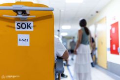 „Háromszor fordult elő velem, hogy a kezeim között halt meg egy beteg. Minden alkalommal szinte előre kijelentették. Egyikük egy hetvenes éveiben járó hölgy volt, mellkasi fájdalommal érkezett, épp kikérdeztem egészségügyi állapotáról, amikor rám nézett, a mellkasához nyúlt és annyit szólt: most meg fogok halni. Mire kimondta, már össze is esett – hiába kezdtem el azonnal az újraélesztést, nem lehetett segíteni rajta. Az ilyen esetek hosszú ideig megmaradnak bennem.”
