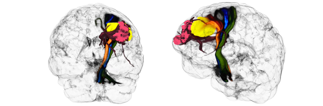 Kutatási területeink