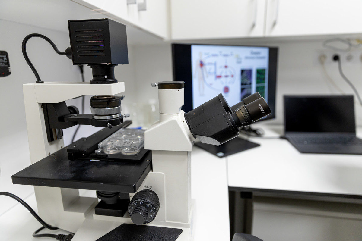 Nemzeti Kardiovaszkuláris Laboratórium 