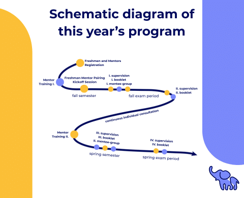 Structure of the program