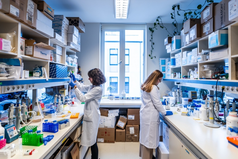 Research Group