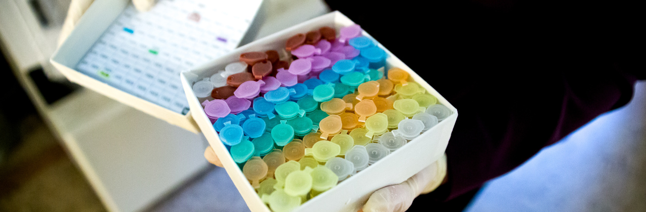 HUMÁN AGYMINTA BANK MIKRODISSZEKCIÓS KUTATÓCSOPORT