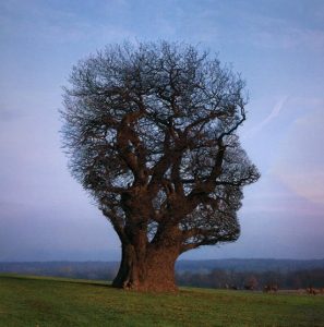 This picture has been reproduced by kind permission of stormthorgerson.com.