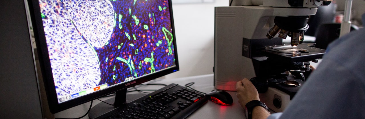 Diagnosztika az intézetünkben