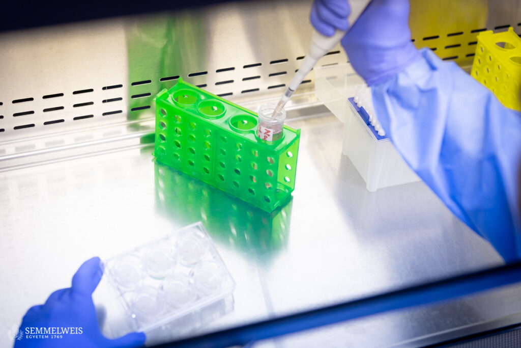 Retina Model System – Retina Laboratory