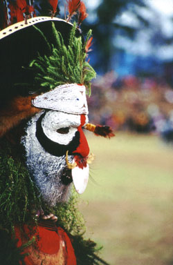 200504222.jpg