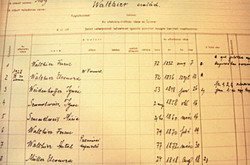 200505175.jpg