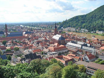20061323.jpg
