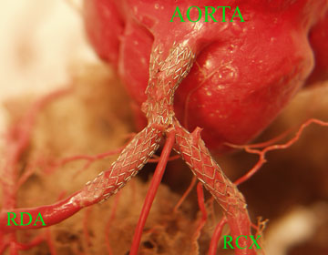 200702072.jpg