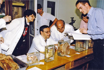 200704033.jpg